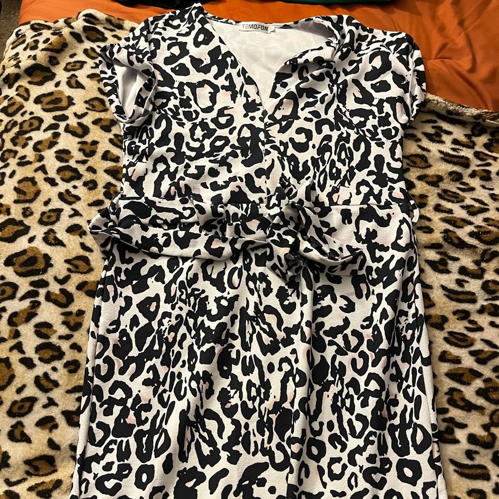 Women’s dress